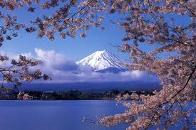 富士山に登った！