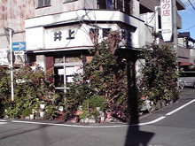 木になる家