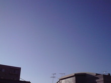 天気が良いので