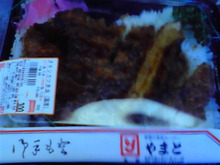 休日乗り放題きっぷの旅・第11日その6