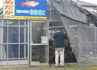 またまたメダカさんのテレビ出演 またまたメダカさんのテレビ出演