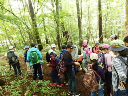 平成29年度　緑の少年隊森林学習会を開催しました