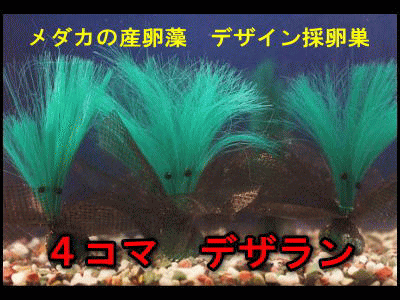 4コマデザラン02