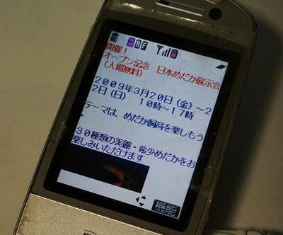 めだか展示会案内
