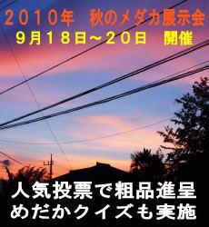 めだか展示会イベント