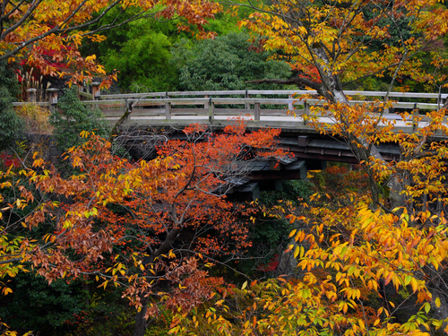 山梨県の観光 温泉 名産ブログ 猿橋 さるはし 山梨県の紅葉スポット