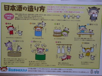 日本酒ができるまで~全体の流れ~