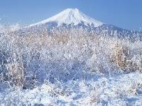 富士山にはかつて利用されていた山梨県側登山道があった