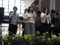 第34回　山梨洋蘭愛好会　新春洋蘭展（2017.1.13～15）