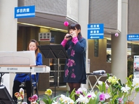 第34回　山梨洋蘭愛好会　新春洋蘭展（2017.1.13～15）