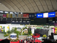 世界らん展日本大賞2018見学（2/16)