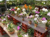 4月例会&総会(2014.04.19)